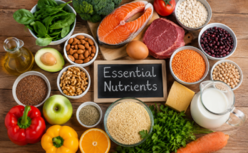 Essential Nutrients Every Person Needs